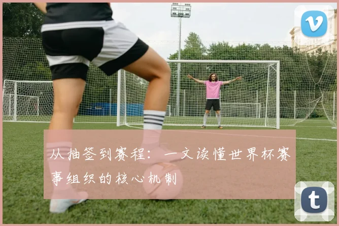 从抽签到赛程：一文读懂世界杯赛事组织的核心机制