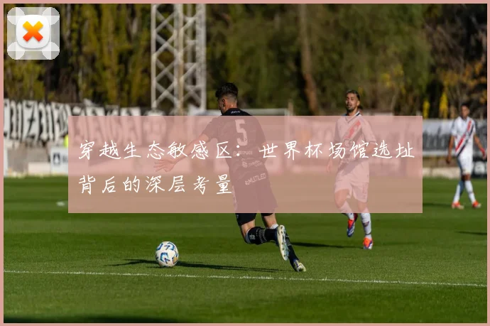 穿越生态敏感区：世界杯场馆选址背后的深层考量